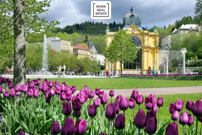 Prodej rodinného domu, Mariánské Lázně, Křižíkova, 700 m2