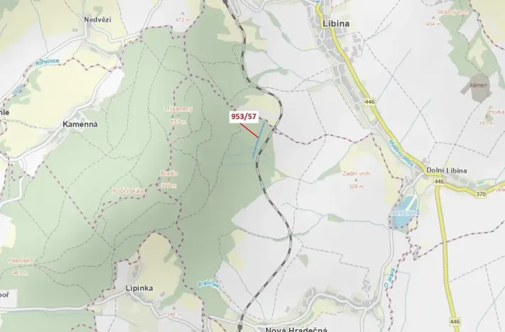 Dražba lesa, Nová Hradečná, 6750 m2