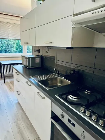 Pronájem bytu 1+1, Frýdek-Místek, Jeronýmova, 39 m2