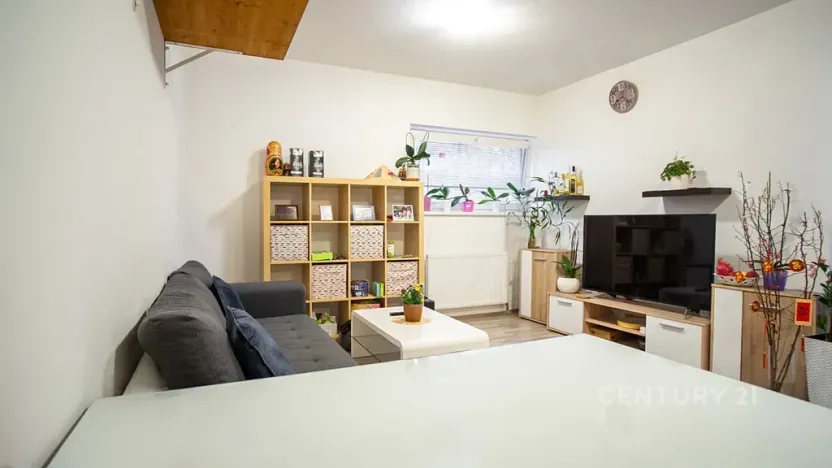 Prodej bytu 2+kk, Plzeň, U Velkého rybníka, 58 m2