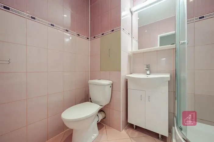 Prodej bytu 1+kk, Brno, Žitná, 29 m2