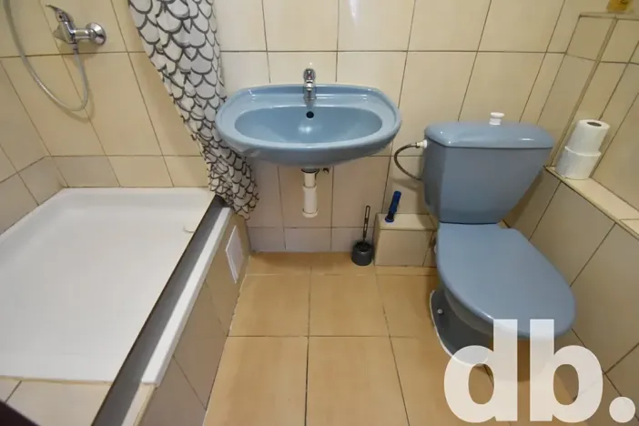 Pronájem bytu 1+1, Karlovy Vary, Sokolovská, 60 m2