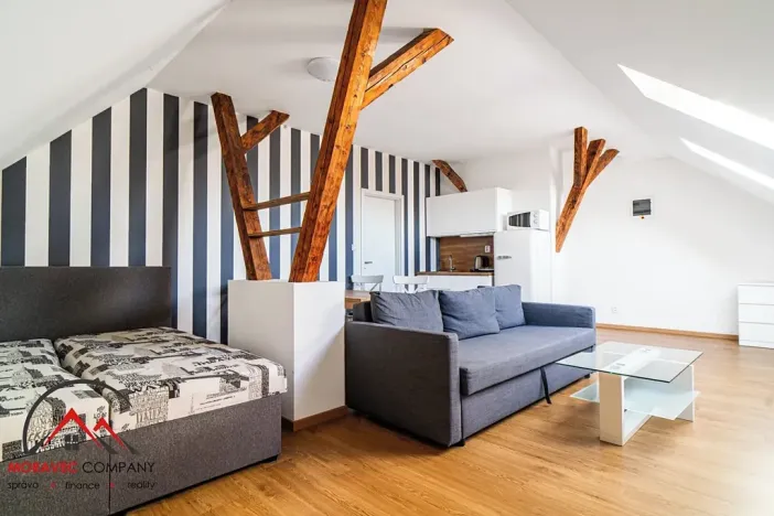 Pronájem bytu 1+kk, Ostrava, Cihelní, 43 m2