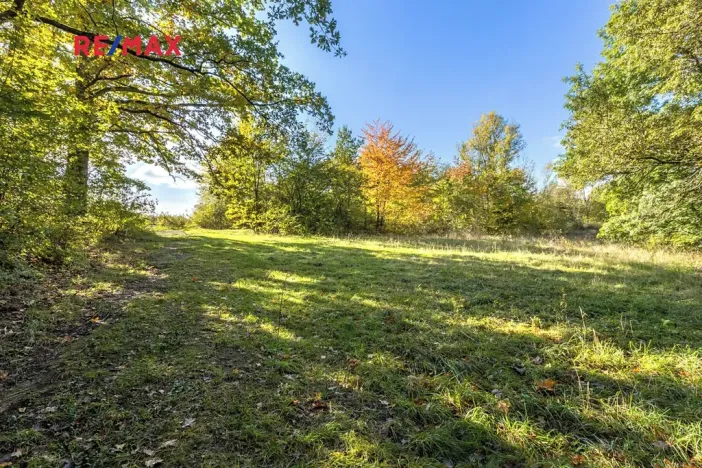 Prodej lesa, Praha - Malá Chuchle, 17570 m2