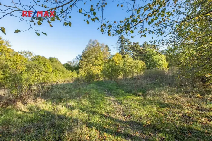 Prodej lesa, Praha - Malá Chuchle, 17570 m2