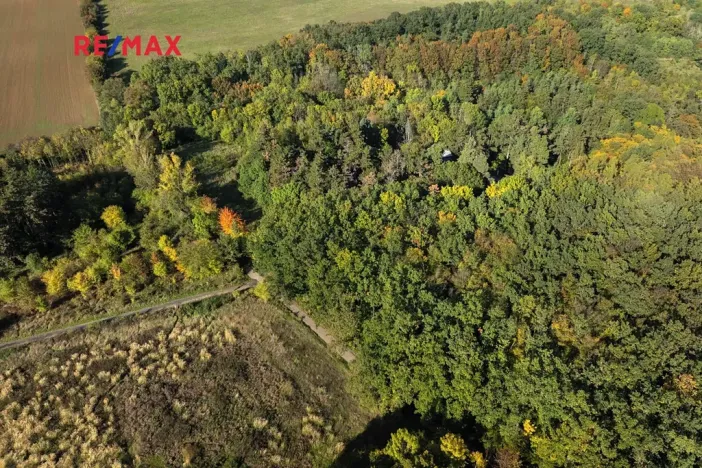 Prodej lesa, Praha - Malá Chuchle, 17570 m2