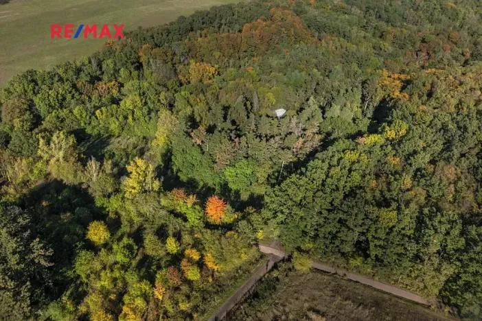 Prodej lesa, Praha - Malá Chuchle, 17570 m2