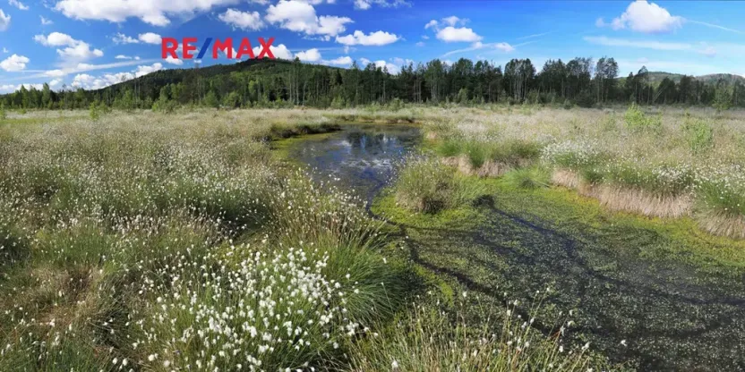 Prodej ubytování, Volary, K. V. Raise, 392 m2