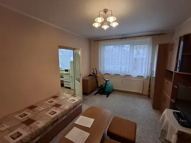 Prodej bytu 1+1, Plesná, Kostelní, 35 m2