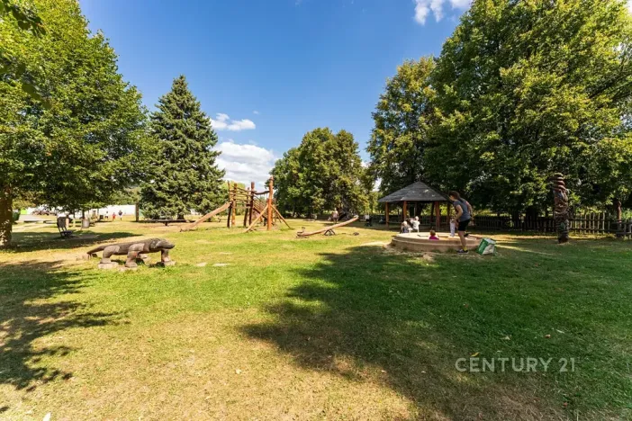 Prodej vícegeneračního domu, Kamýk nad Vltavou, 320 m2