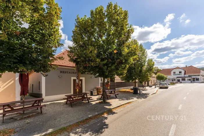 Prodej vícegeneračního domu, Kamýk nad Vltavou, 320 m2