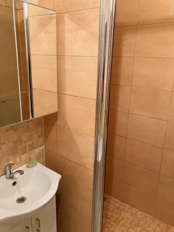 Pronájem bytu 2+1, Ostrava, Ukrajinská, 54 m2