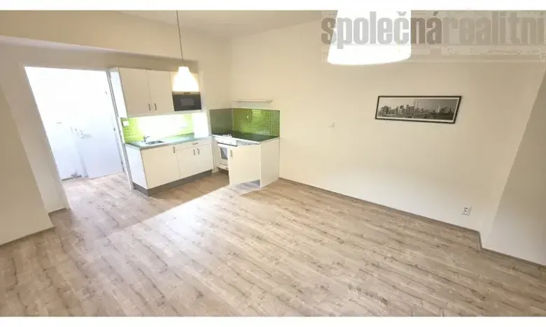 Pronájem bytu 1+kk, Praha - Vinohrady, Slezská, 30 m2