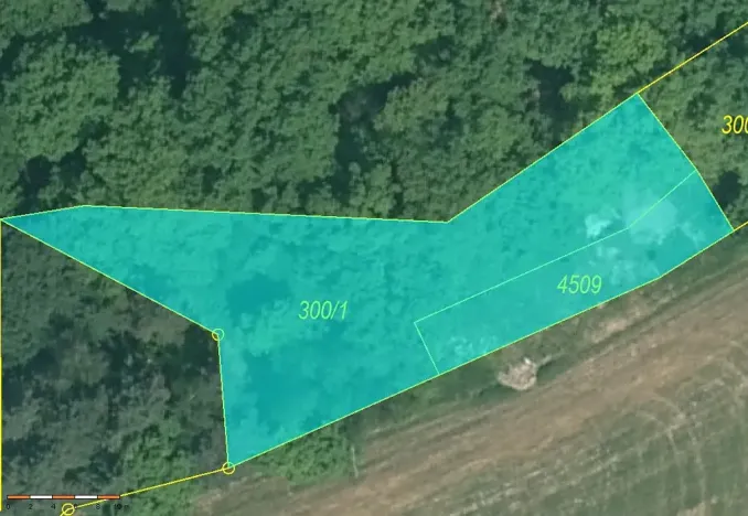 Prodej pozemku, Číčenice, 816 m2