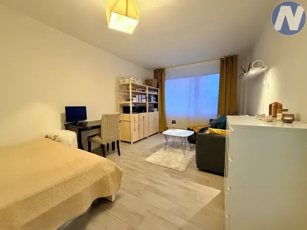 Pronájem bytu 1+1, Strakonice, Mlýnská, 37 m2