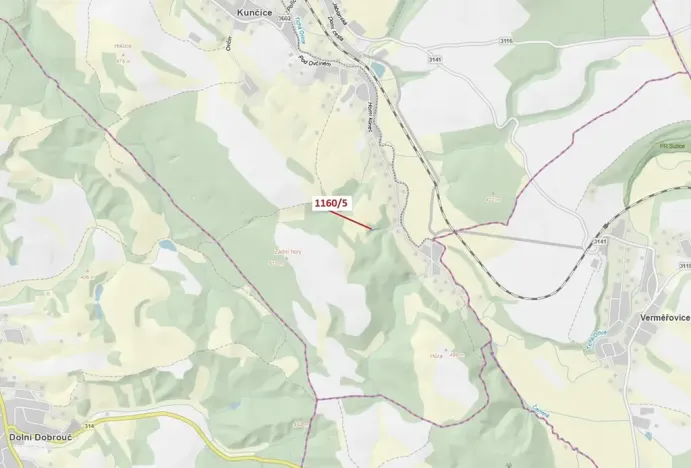 Dražba lesa, Letohrad, 282 m2