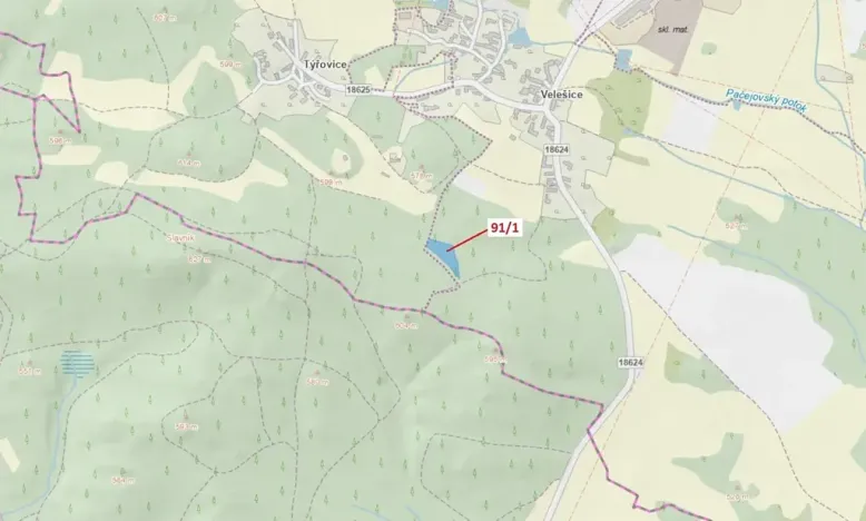 Dražba lesa, Pačejov, 3251 m2