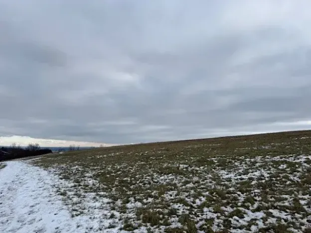 Dražba pole, Litoměřice, 8107 m2