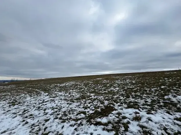 Dražba pole, Litoměřice, 8107 m2