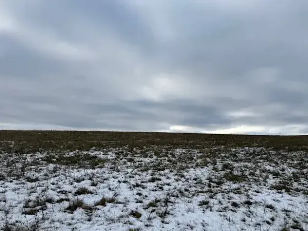 Dražba pole, Litoměřice, 8107 m2