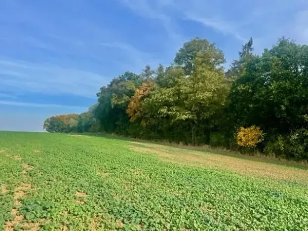 Prodej pole, Praha - Liboc, Na Padesátníku I, 24066 m2