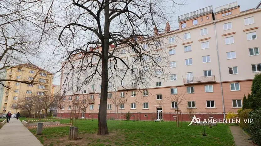 Prodej bytu 2+1, Brno, Bayerova, 75 m2