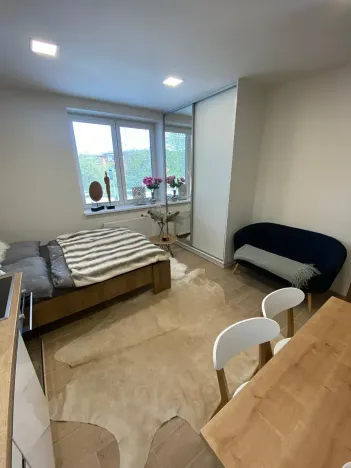 Pronájem bytu 1+kk, Zlín, Štefánikova, 30 m2