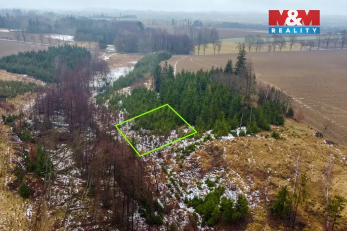 Prodej lesa, Česká Bělá, 1126 m2