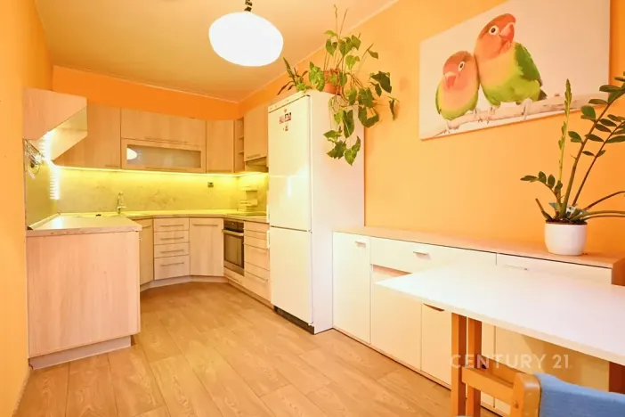 Prodej bytu 3+1, Most, Františka Malíka, 68 m2