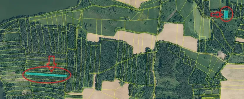 Prodej lesa, Myslív, 4556 m2