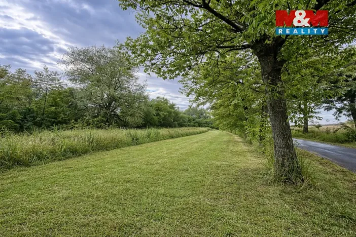 Pronájem pole, Žleby - Zehuby, 6932 m2