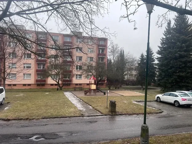 Pronájem bytu 1+1, Jihlava, Březinova, 33 m2