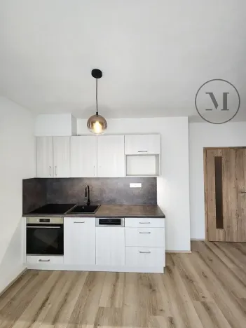 Pronájem bytu 1+kk, České Budějovice, Dobrovodská, 41 m2