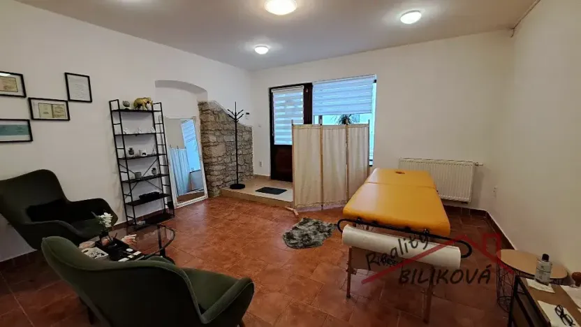 Pronájem obchodního prostoru, Brandýs nad Labem-Stará Boleslav, F. X. Procházky, 28 m2