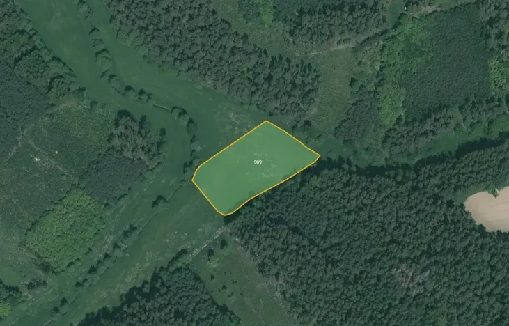 Prodej podílu pole, Poběžovice, 64029 m2