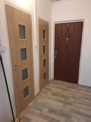 Prodej bytu 1+kk, Praha - Záběhlice, Hvozdíková, 25 m2