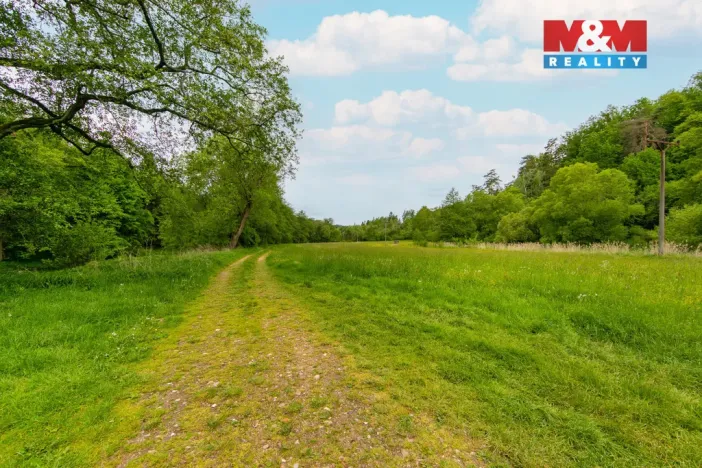 Prodej chaty, Svojšín, 60 m2