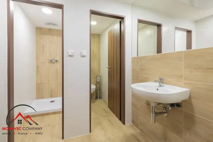 Pronájem apartmánu, Ostrava, Cihelní, 43 m2