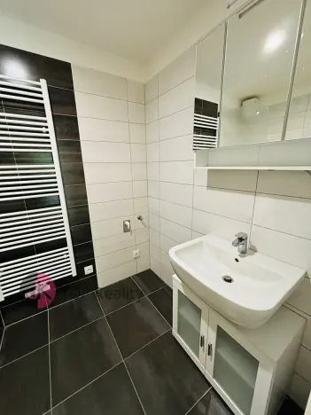 Pronájem bytu 2+kk, Velké Popovice, V parku, 59 m2