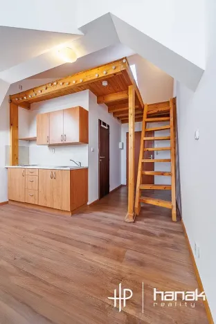 Pronájem bytu 1+kk, Olomouc, Masarykova třída, 21 m2