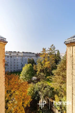 Pronájem bytu 1+kk, Olomouc, Masarykova třída, 21 m2