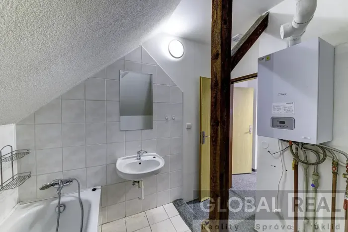 Prodej obchodního prostoru, Svitavy, Vojanova, 401 m2