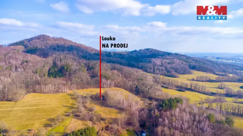 Prodej louky, Žandov - Radeč, 3251 m2