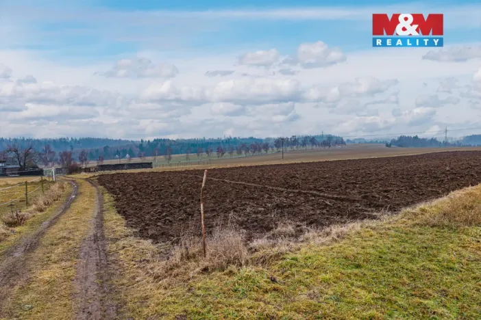 Prodej pole, Sázava - Bělokozly, 5240 m2