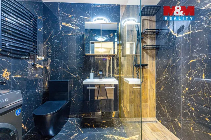 Prodej bytu 2+1, Praha - Vysočany, U vysočanského pivovaru, 59 m2