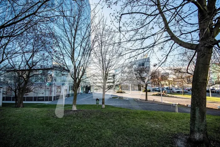 Pronájem obchodního prostoru, Praha - Holešovice, Jankovcova, 291 m2