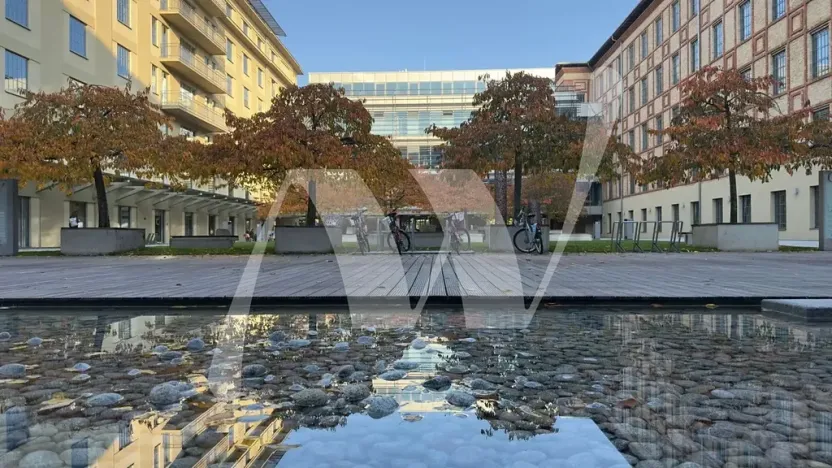 Pronájem kanceláře, Praha - Holešovice, Jankovcova, 330 m2