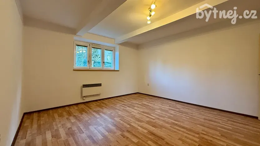 Pronájem bytu 1+1, Olomouc - Nová Ulice, Růženy Svobodové, 49 m2