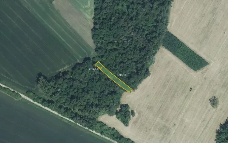 Prodej pole, Moravská Nová Ves, 5711 m2