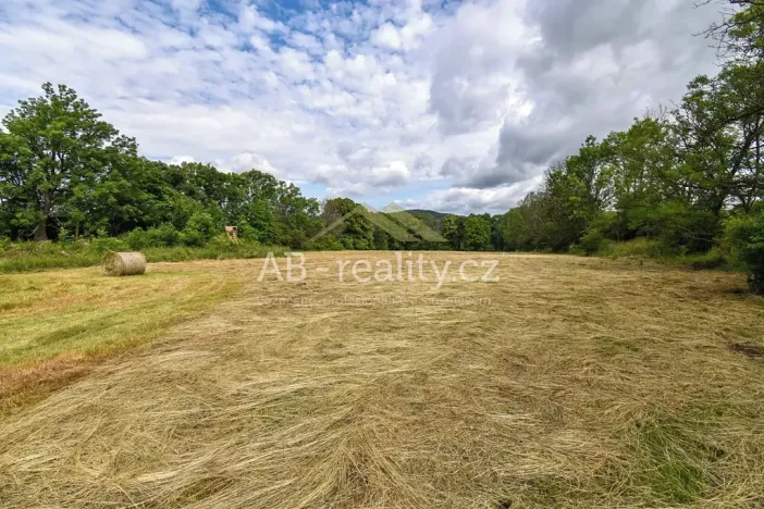 Prodej louky, Úštěk, 131865 m2
